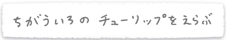 えらびなおす